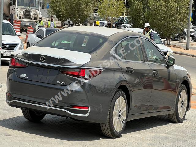 2022 لكزس إي إس 250