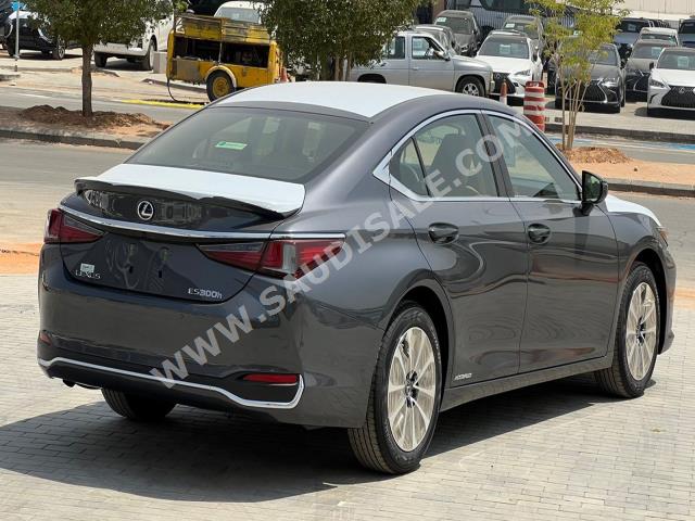 2022 لكزس إي إس 300