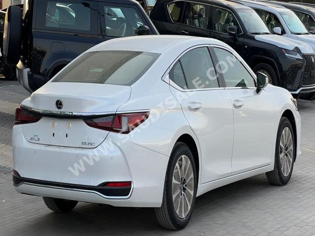 2022 لكزس إي إس 250