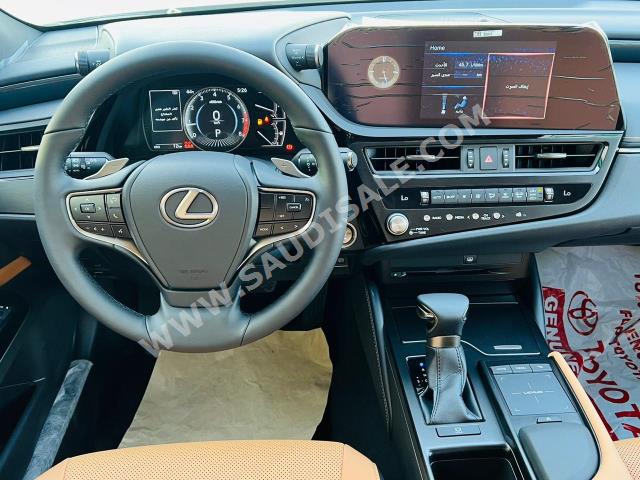2022 لكزس إي إس 250