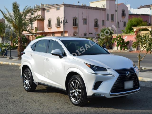 2020 لكزس إن إكس 300