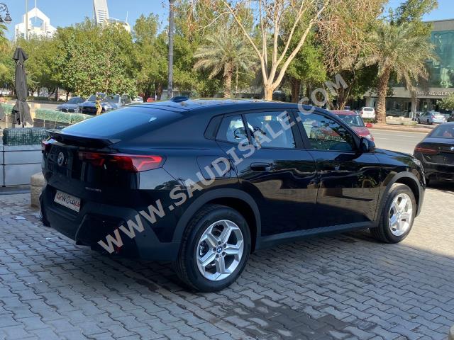 2024 بي ام دبليو الفئة اكس 2