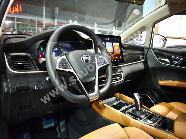 2020 BYD Song Max