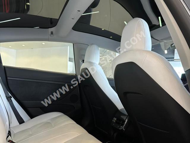 2021 تيسلا 3موديل بيرفورمانس