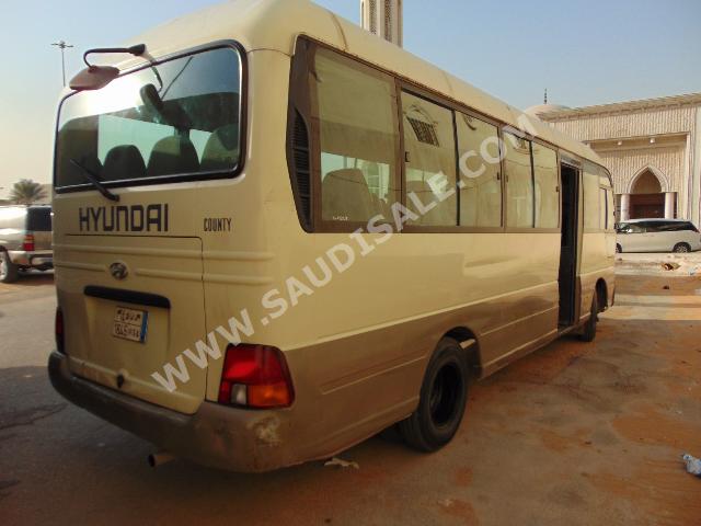 2010 Hyundai Bus County