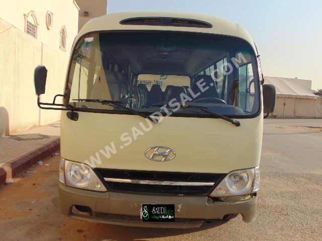 2010 Hyundai Bus County