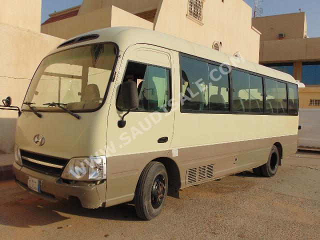 2010 Hyundai Bus County