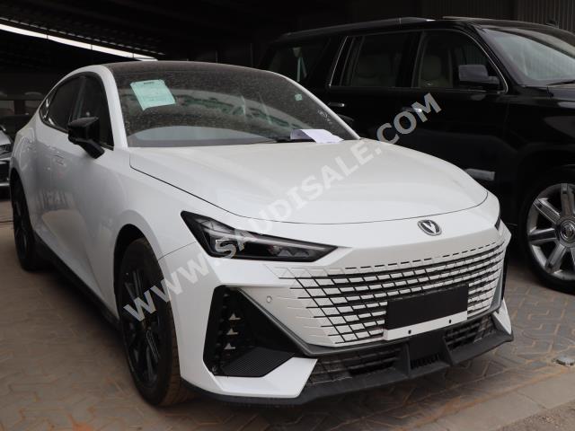 2023 شانجان يوني في