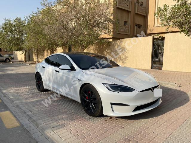 2023 تيسلا اس بليد