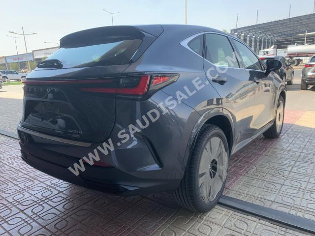 2024 لكزس إن إكس 350