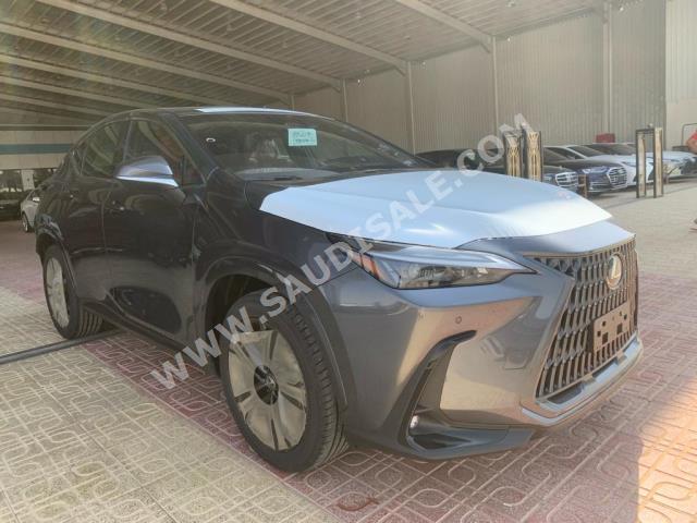 2024 لكزس إن إكس 350