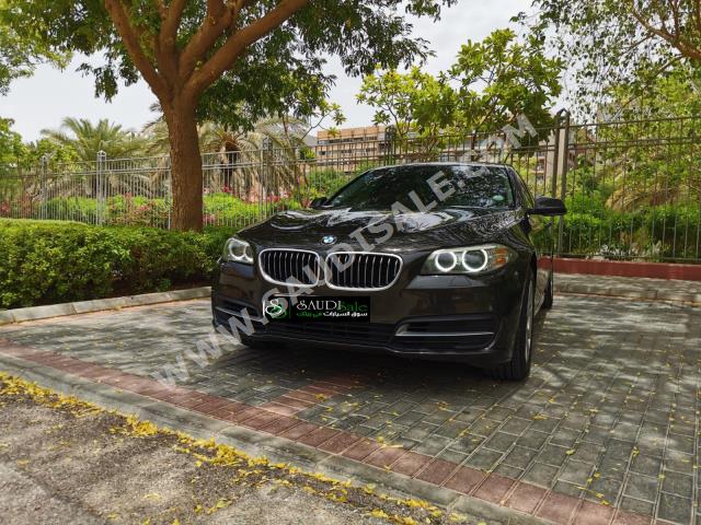 2015 BMW 5 Series 520i