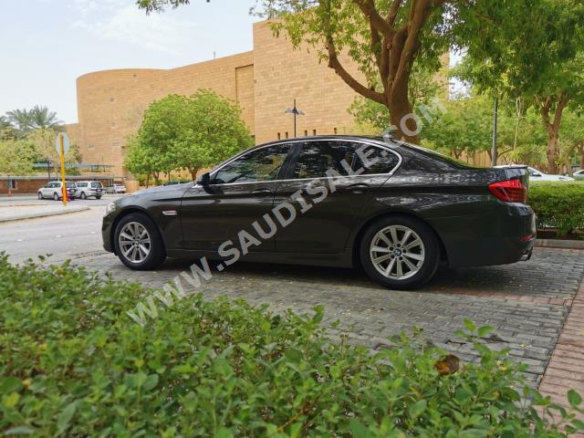 2015 BMW 5 Series 520i