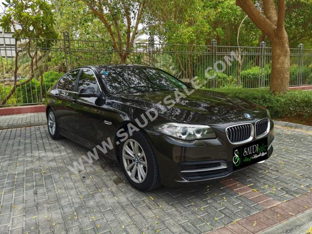 2015 BMW 5 Series 520i