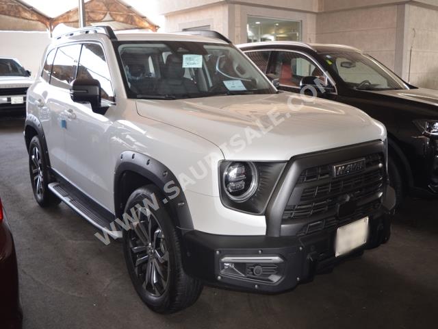 2022 Haval Dargo