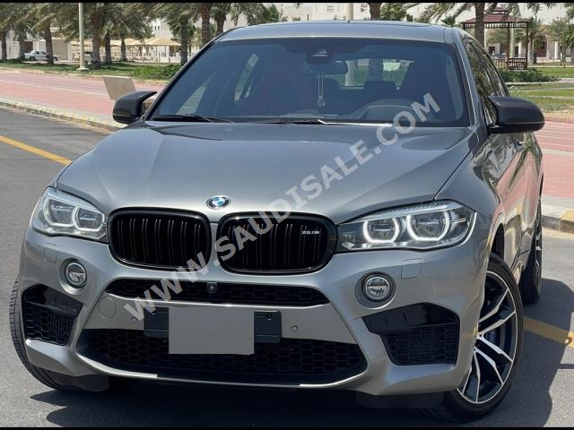 2019 بي ام دبليو الفئة اكس 6 إم