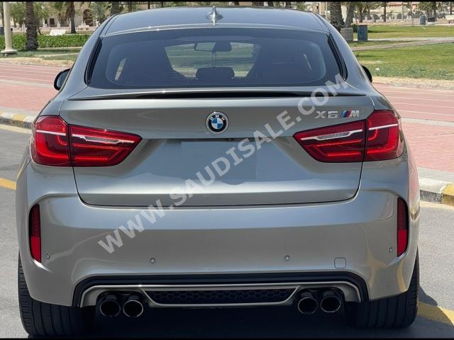 2019 بي ام دبليو الفئة اكس 6 إم