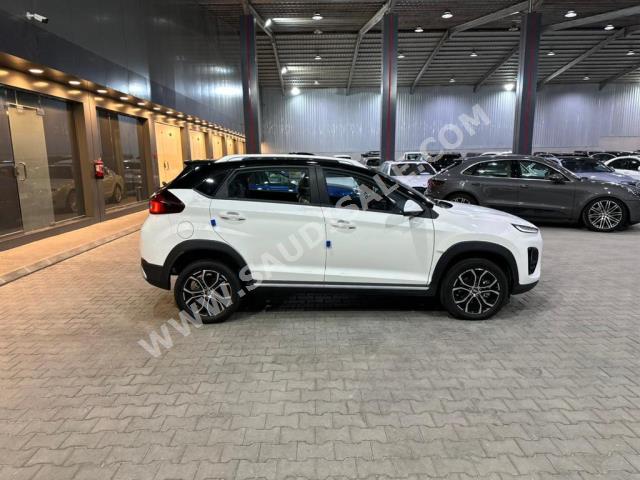 2023 شيري تيجو 2