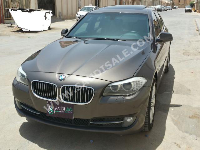 2013 BMW 5 Series 530i