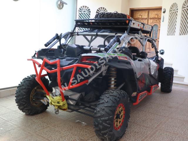 2019 كان-ام مافريك