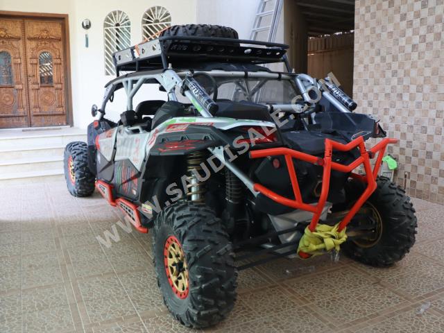 2019 كان-ام مافريك