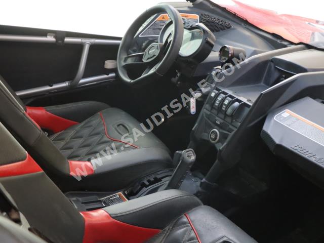 2019 كان-ام مافريك