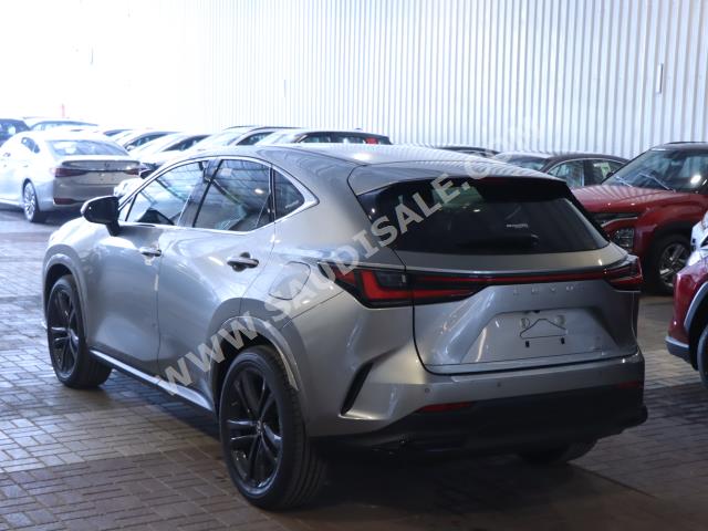 2024 لكزس إن إكس 350