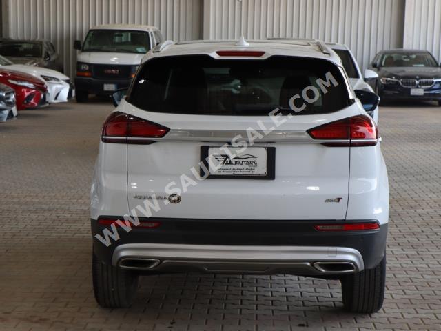 2021 جيلي ازكارا