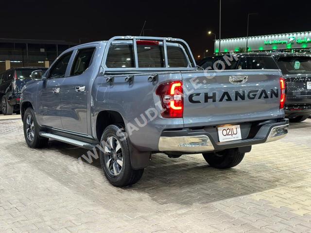 2022 Changan Hunter Standart