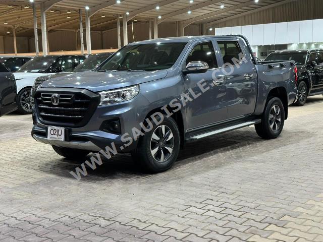 2022 Changan Hunter Standart