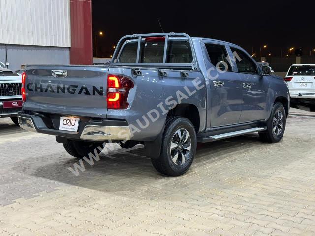 2022 Changan Hunter Standart