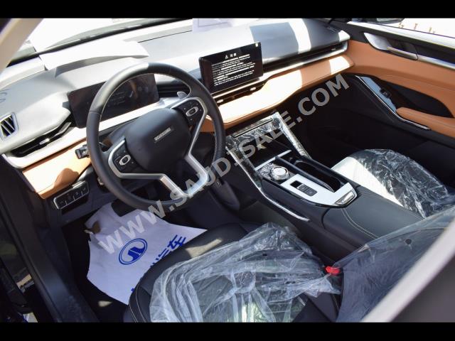 2023 هافال اتش 6