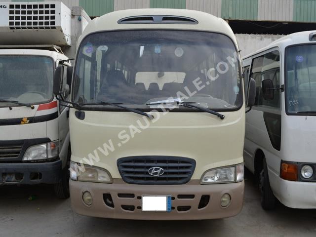 2004 Hyundai Bus County