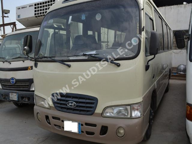 2004 Hyundai Bus County