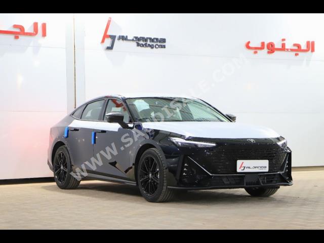 2024 شانجان يوني في