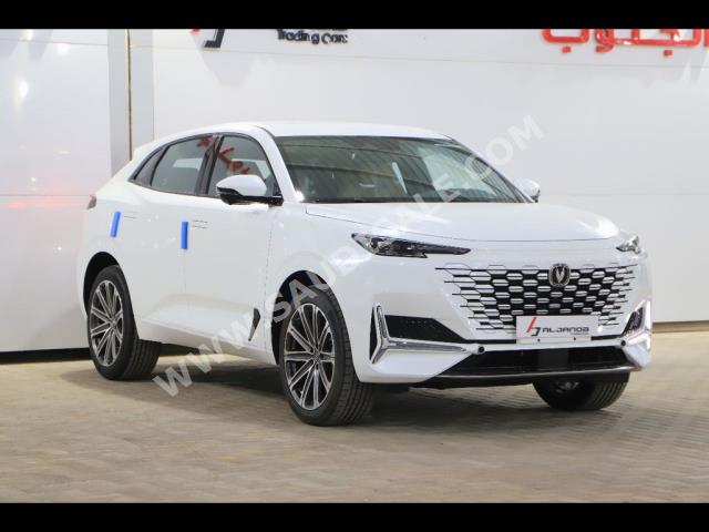 2024 شانجان يوني كي