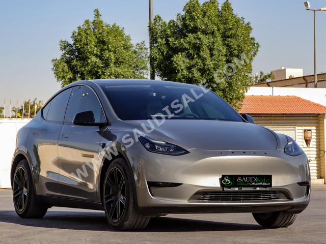 2022 تيسلا موديل واي