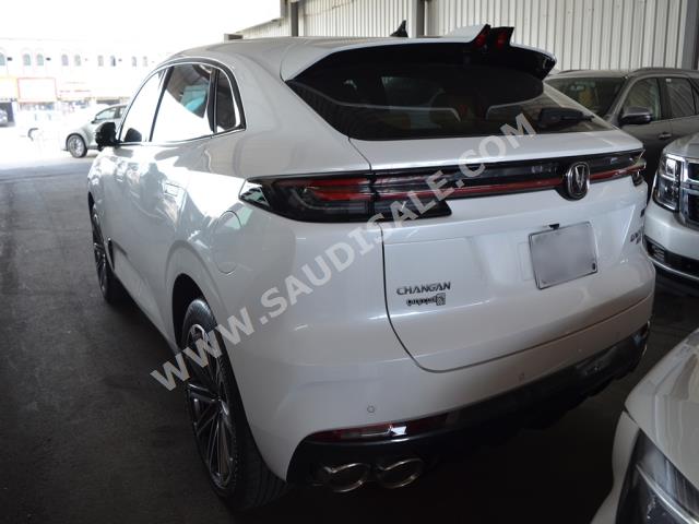 2023 شانجان يوني كي