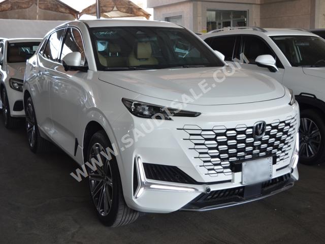 2023 شانجان يوني كي