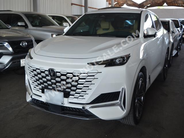 2023 شانجان يوني كي