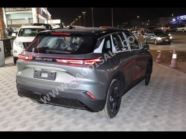 2024 بايك اكس 35