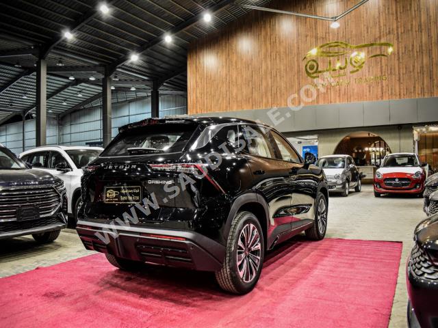 2023 جيتور داشينج