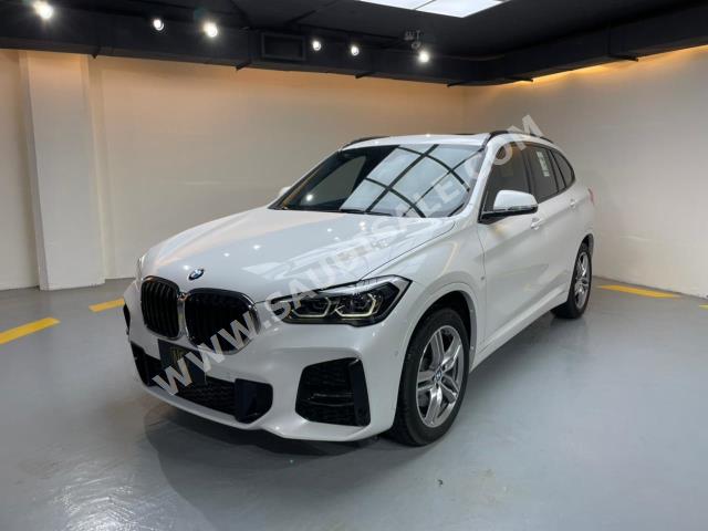 2019 BMW X Series 1