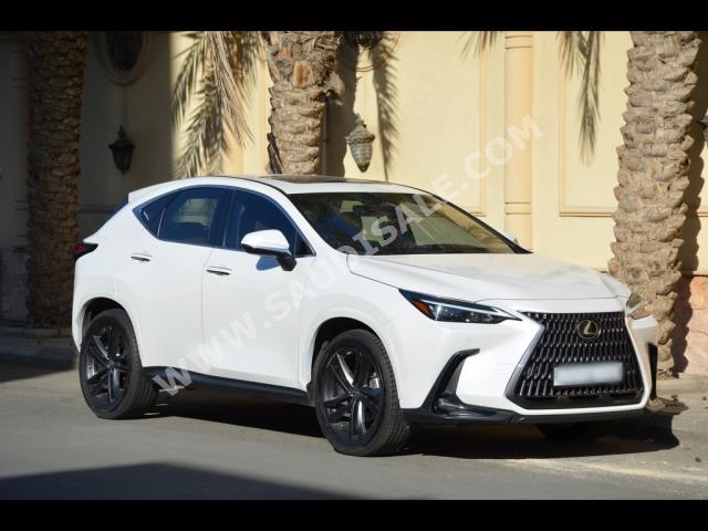 2022 لكزس إن إكس 350