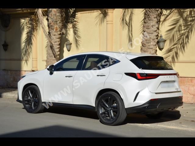 2022 لكزس إن إكس 350