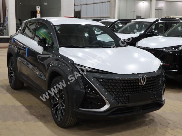 2023 Changan UNI-T standard