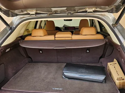 2019 Lexus RX 450 Hybrid