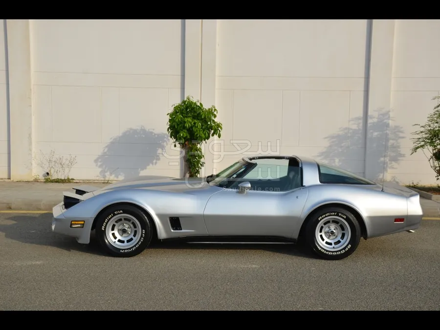 1981 Chevrolet Corvette Sting Ray