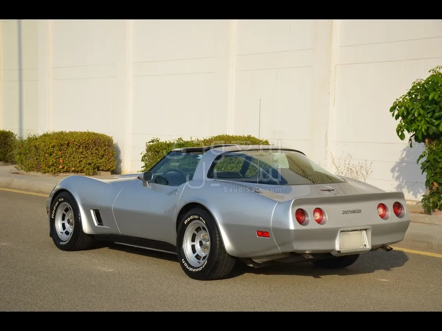 1981 Chevrolet Corvette Sting Ray