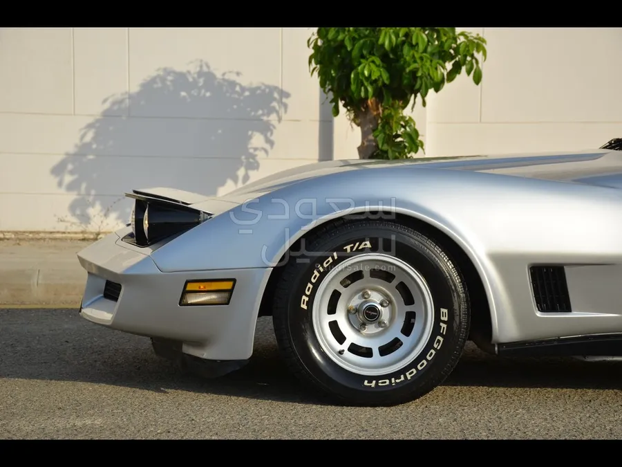 1981 Chevrolet Corvette Sting Ray